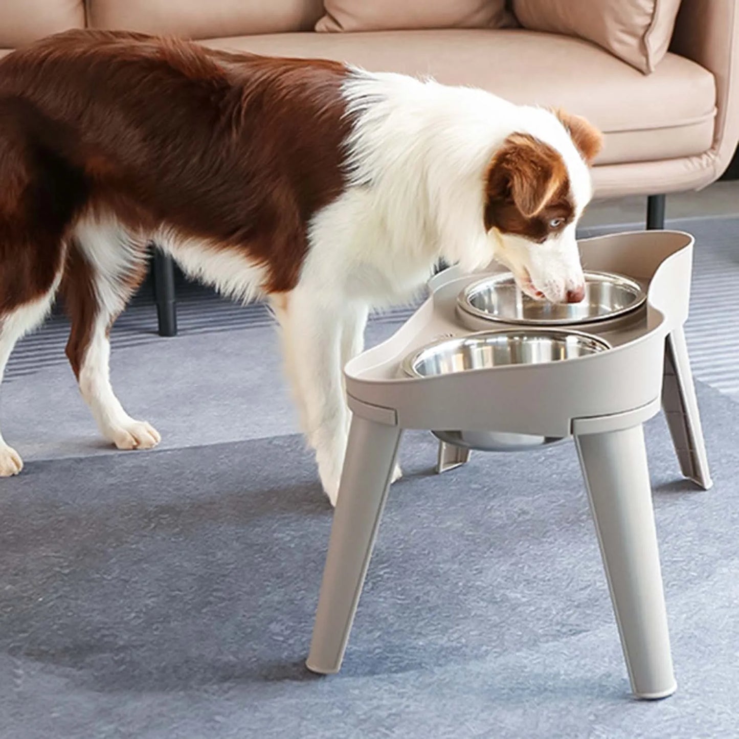 Raised Stand Elevated Dog Feeder Non-Slip and No Spill Design Bowl Pet Supplies Suitable for Improve Posture and Comfort Xuan-US