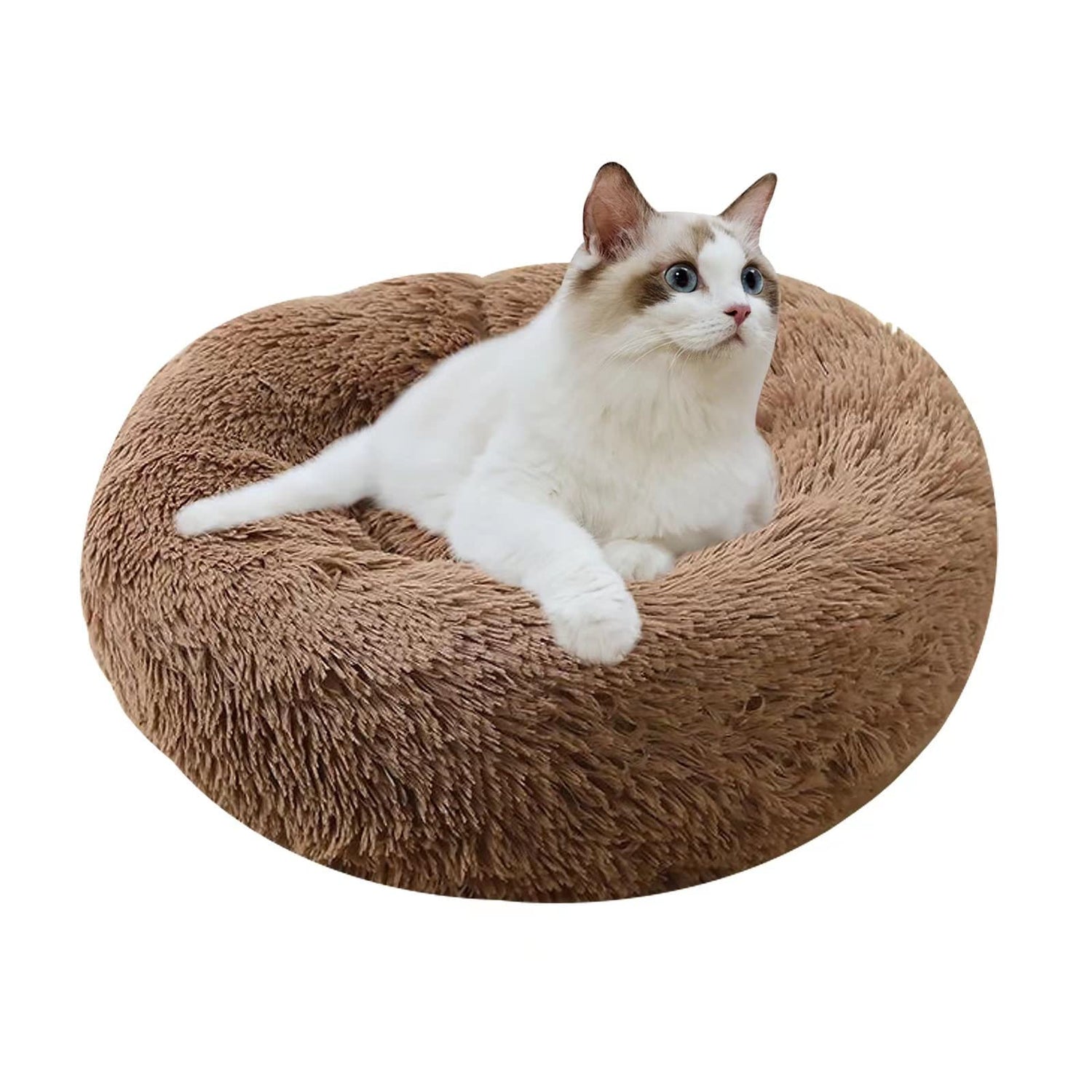 Cat Beds