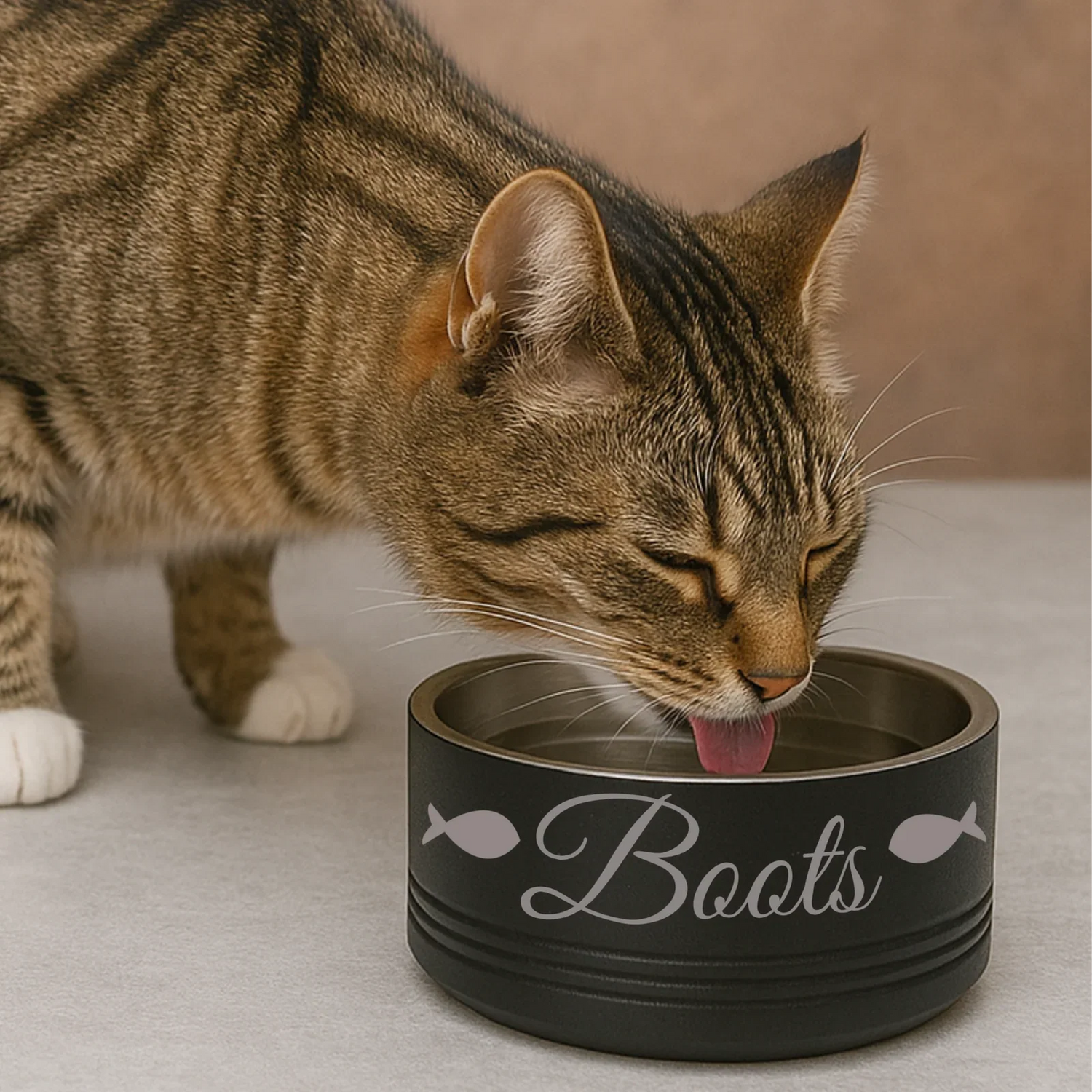 Cat Bowls