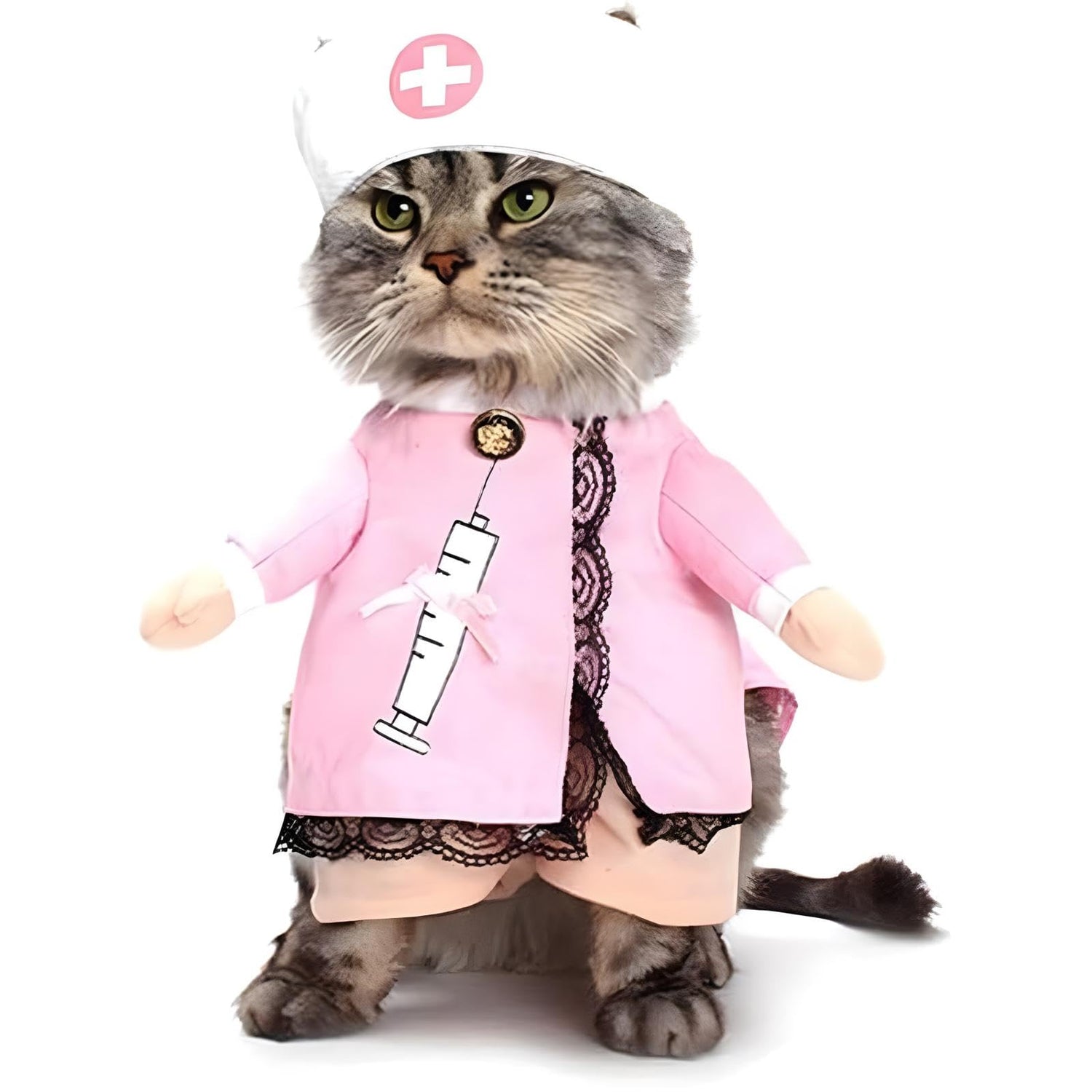 Cat Care