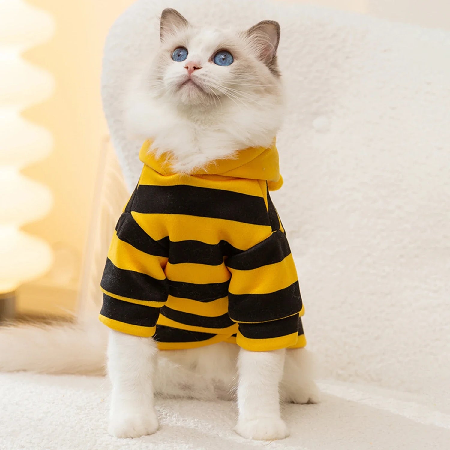 Cat Clothes