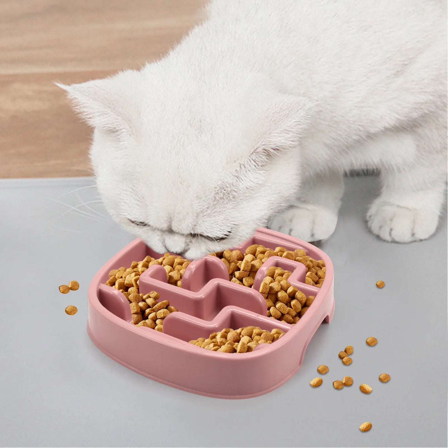 Cat Food
