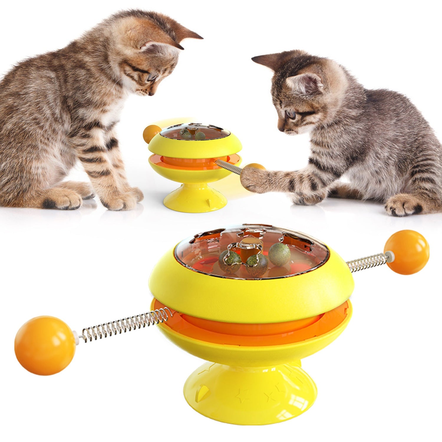 Cat Toys