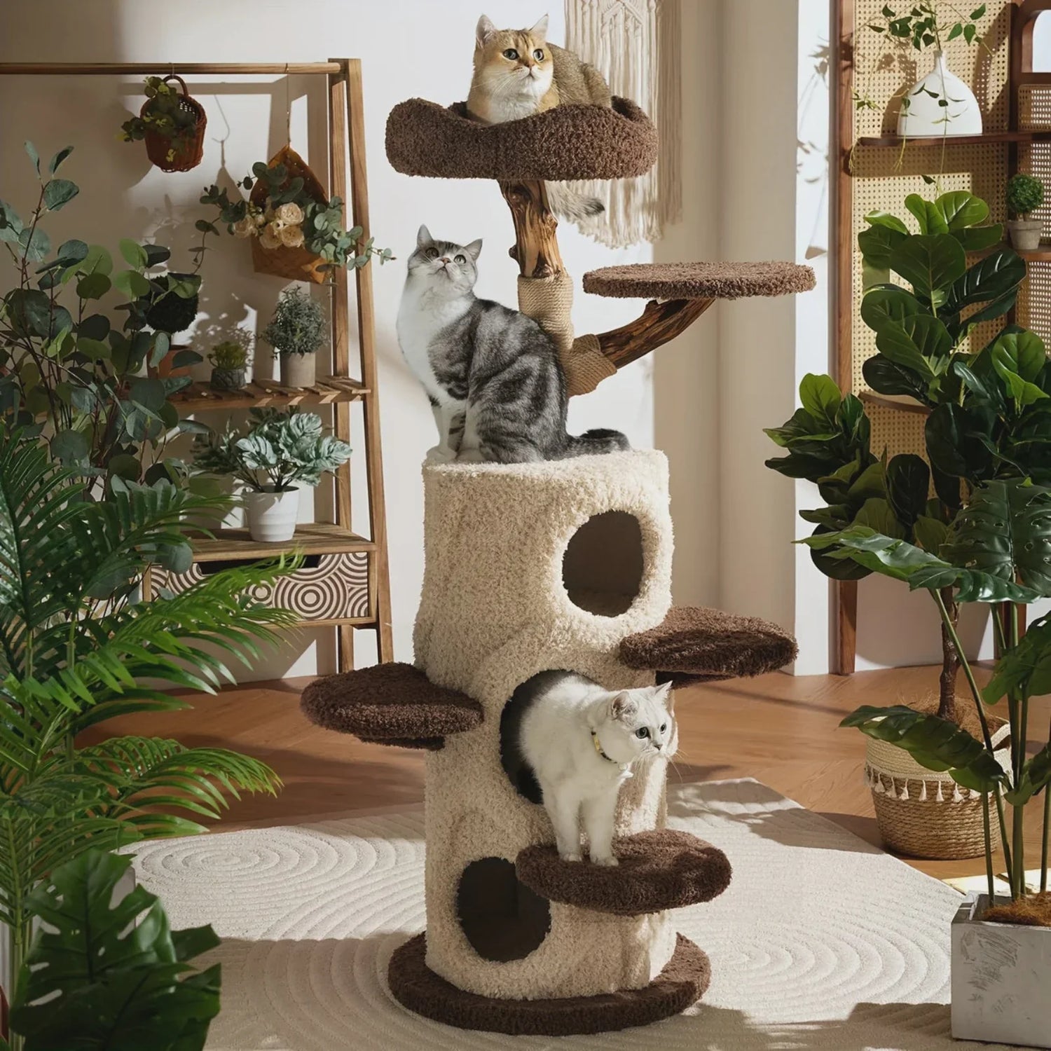 Cat Trees