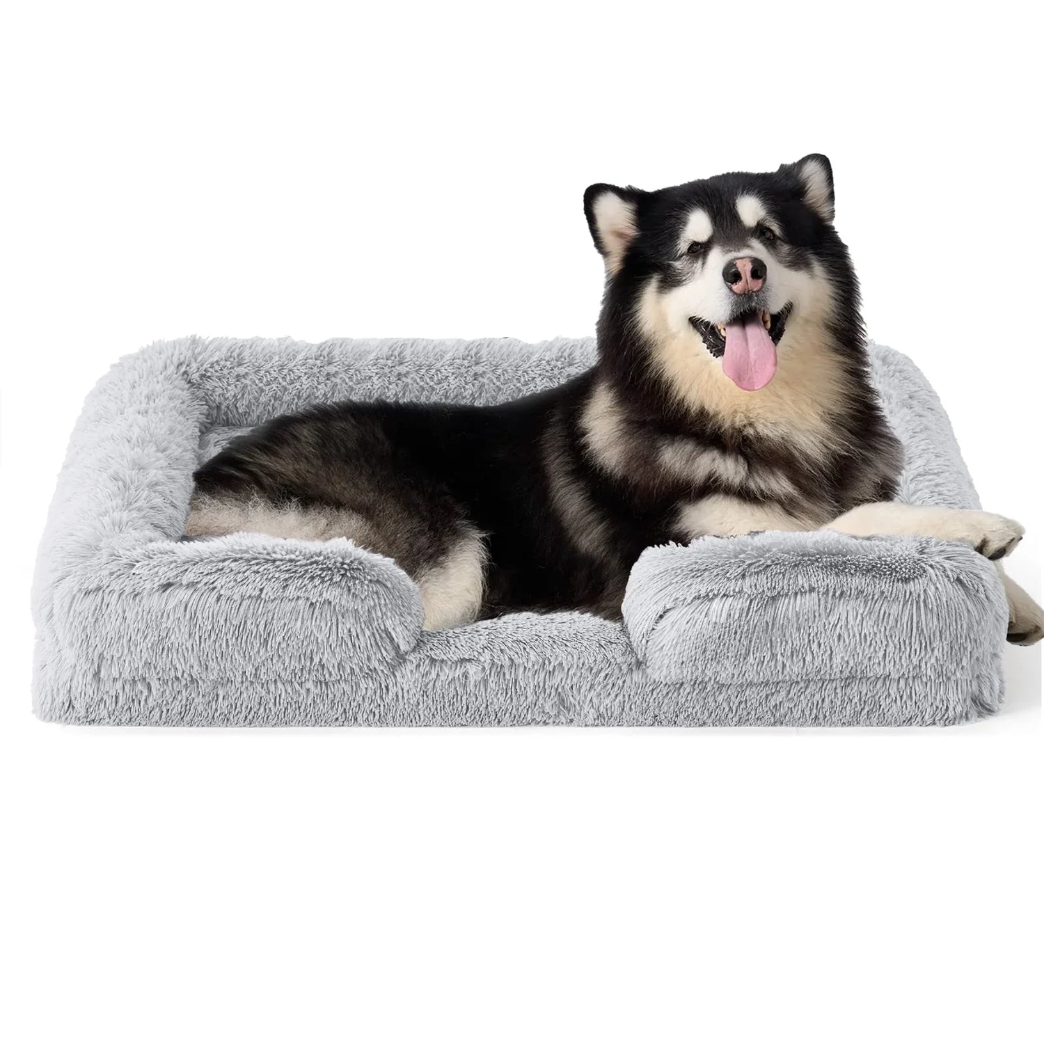 Dog Beds