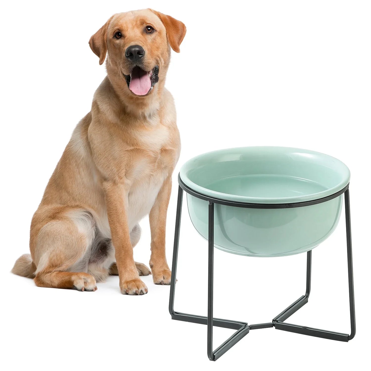 Dog Bowls