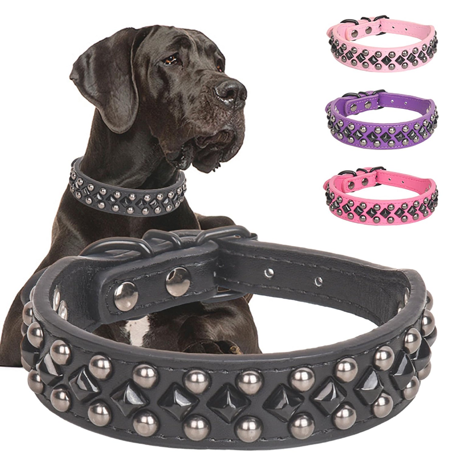 Dog Collars