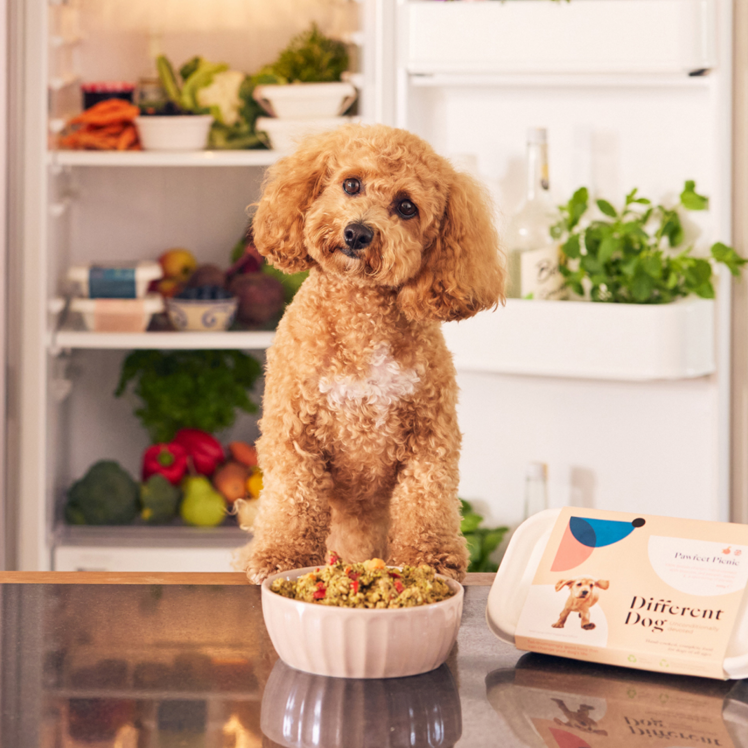 Dog Food