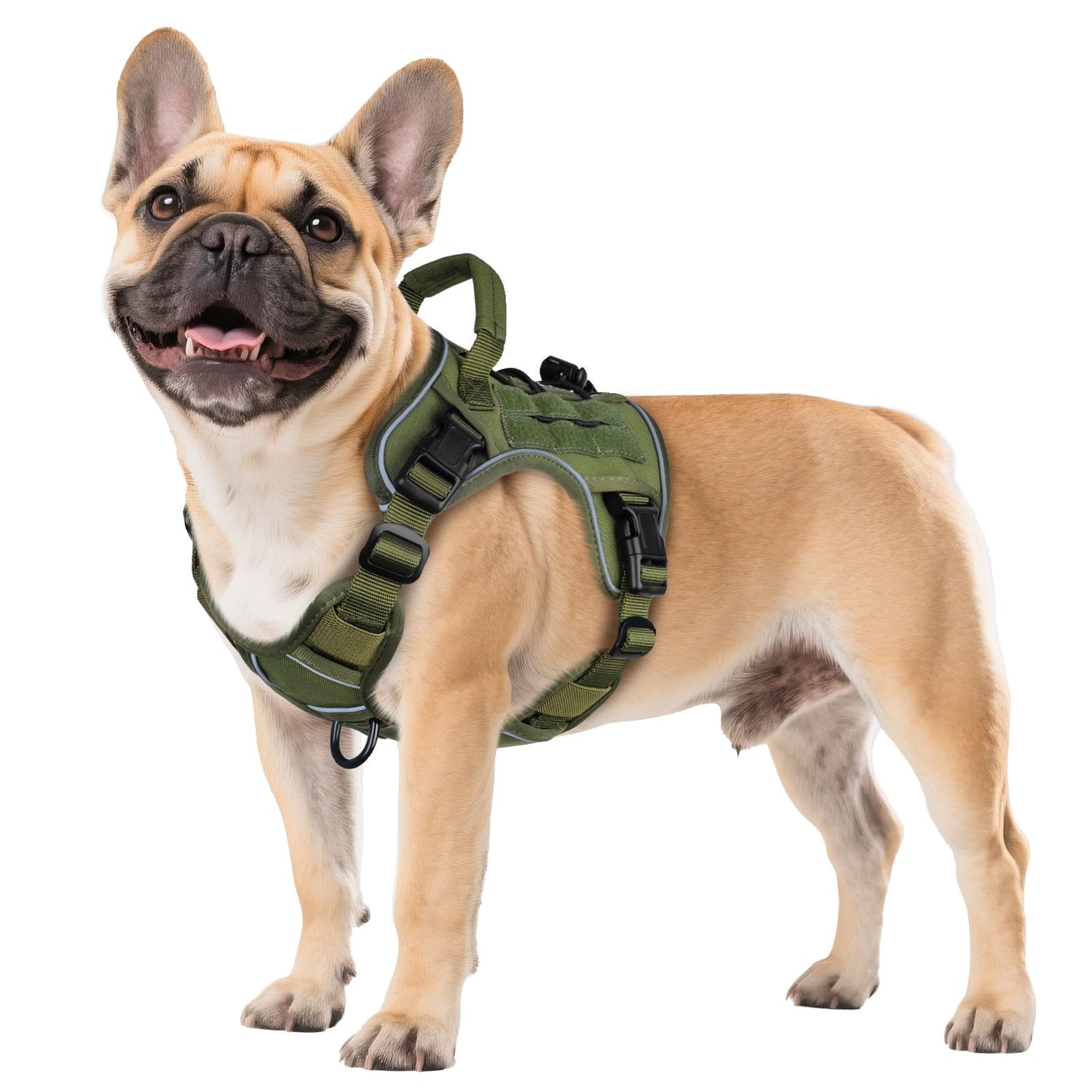 Dog Harness