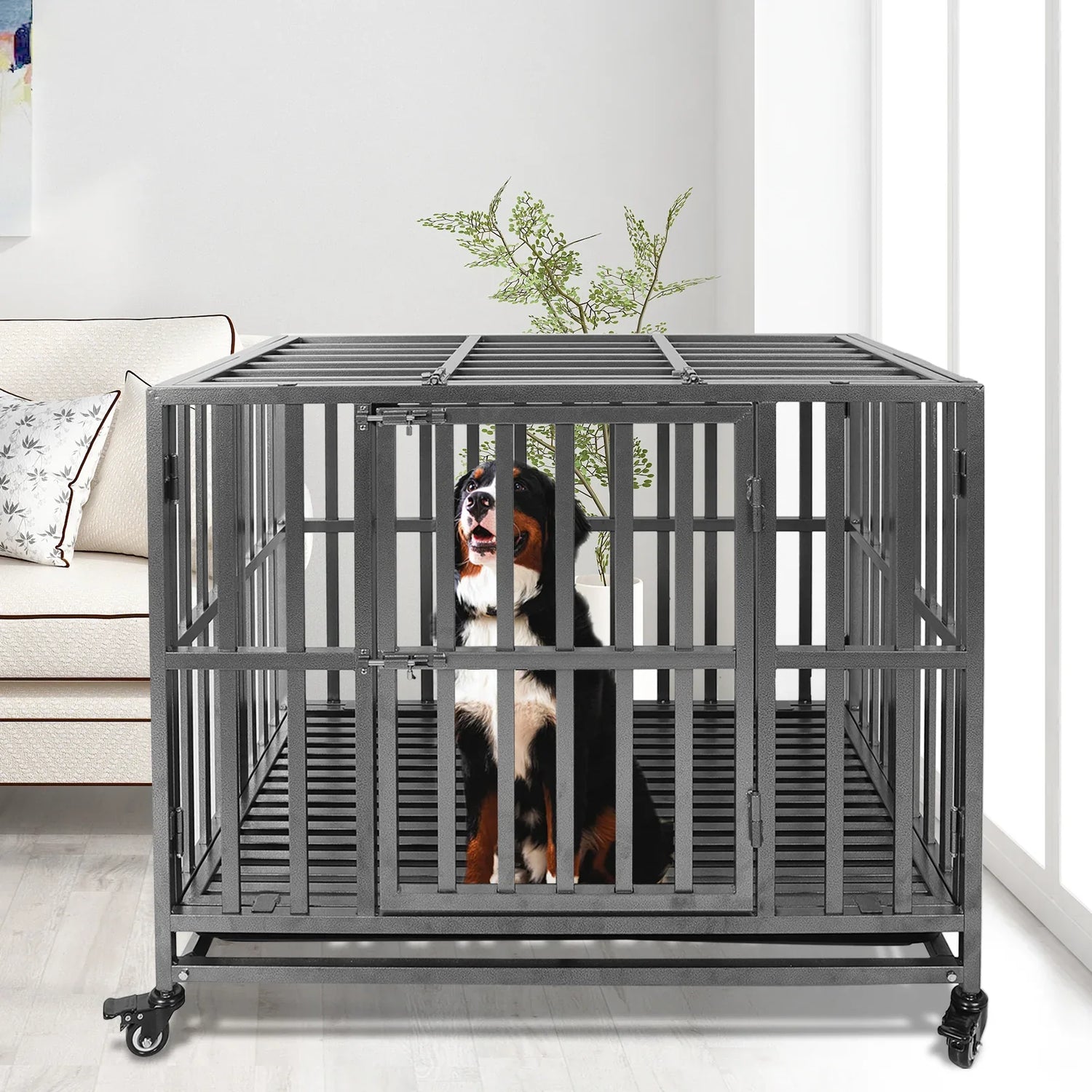 Dog Kennels