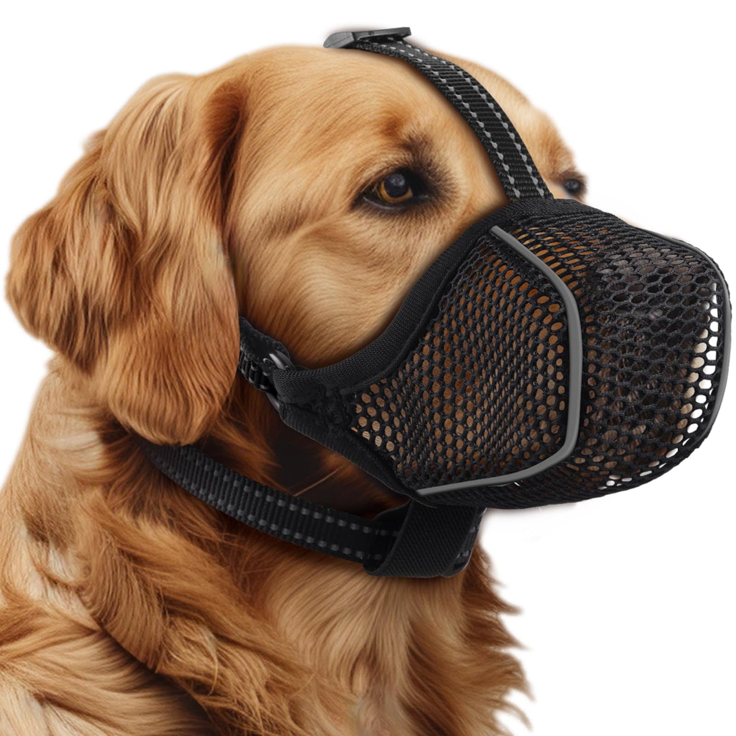 Dog Muzzles