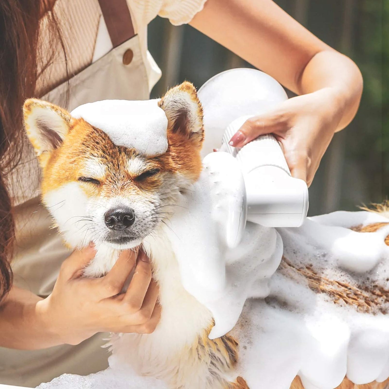 Dog Shampoos