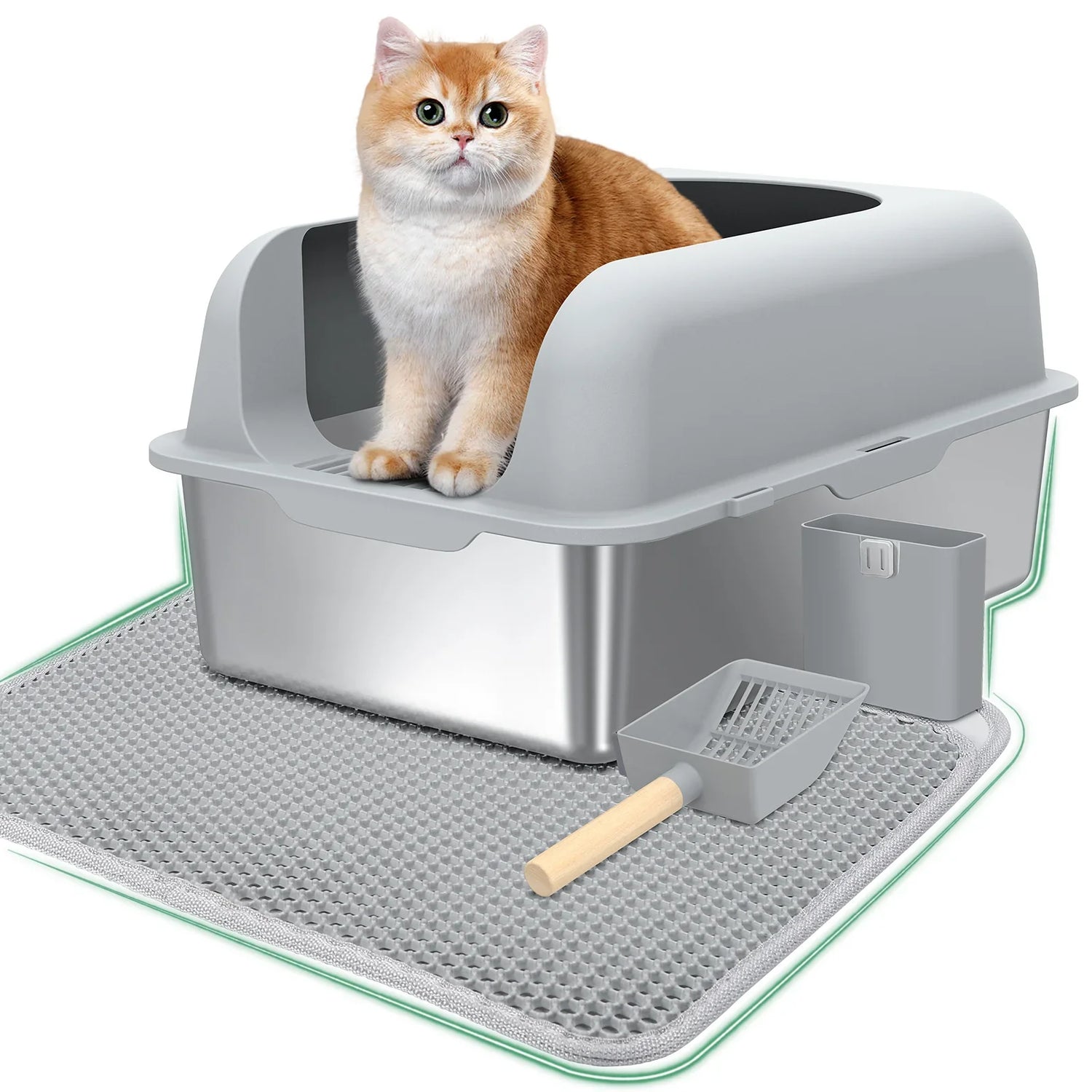 Litter Boxes