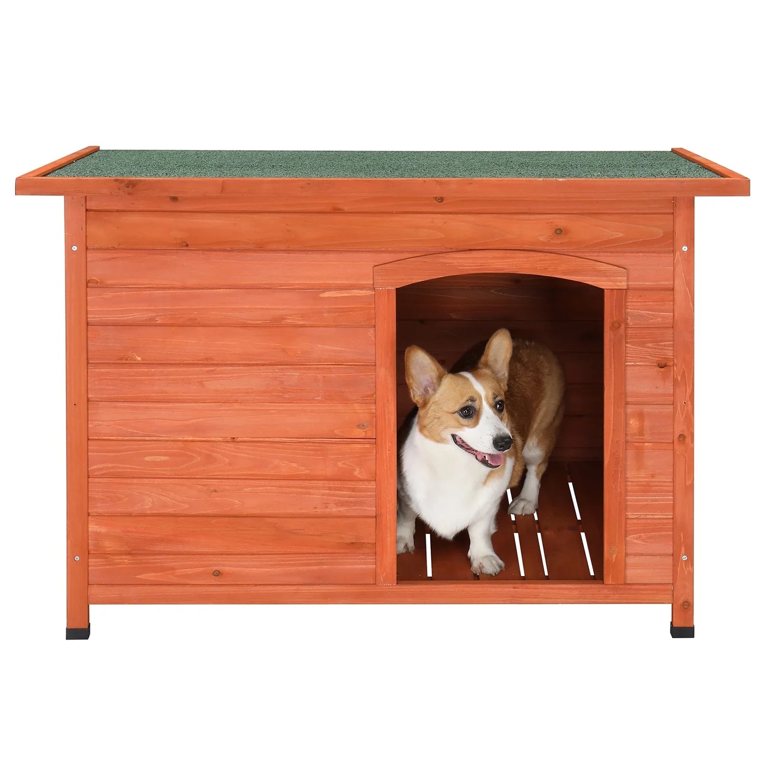 Pet Homes