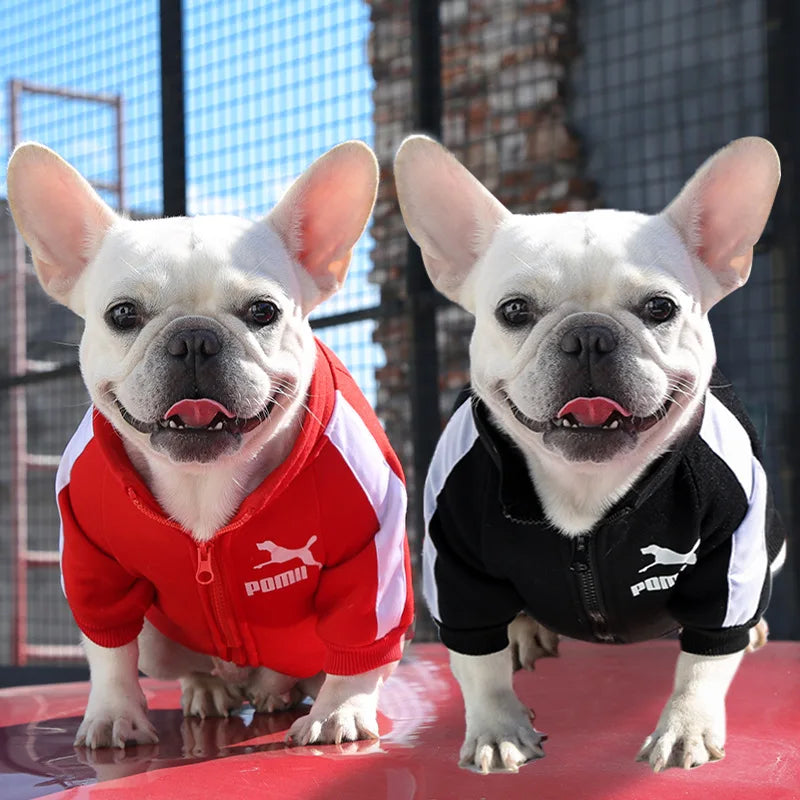 Dog Sweatshirts Customizable, Warm Letter Design for Autumn Winter, Small Medium Large Pet Clothes Trendy Brand Style
