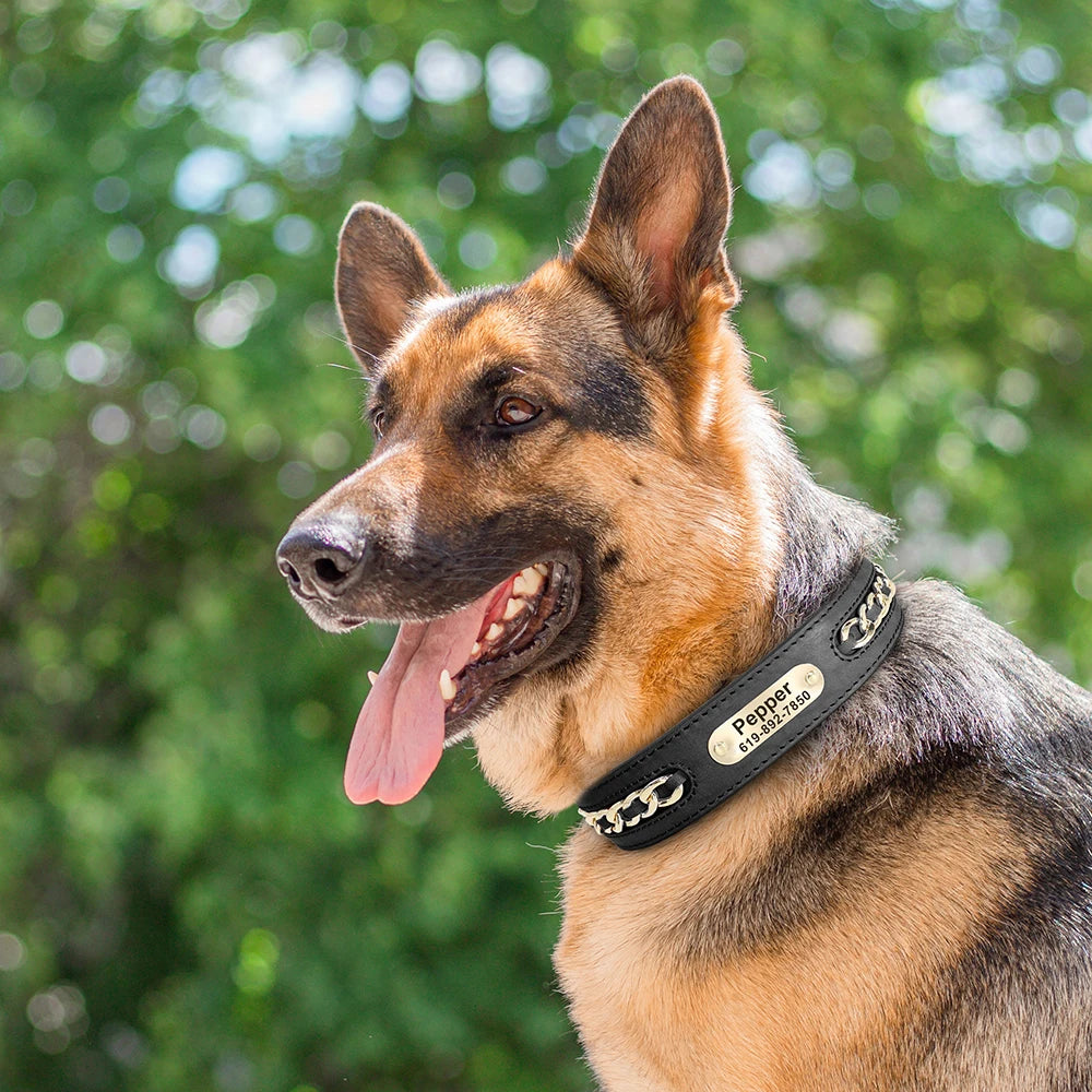 Personalized Dog Collar Durable Leather Dogs ID Collars With Anti-lost Name Tag Chain Accessories for Small Medium Large Dogs