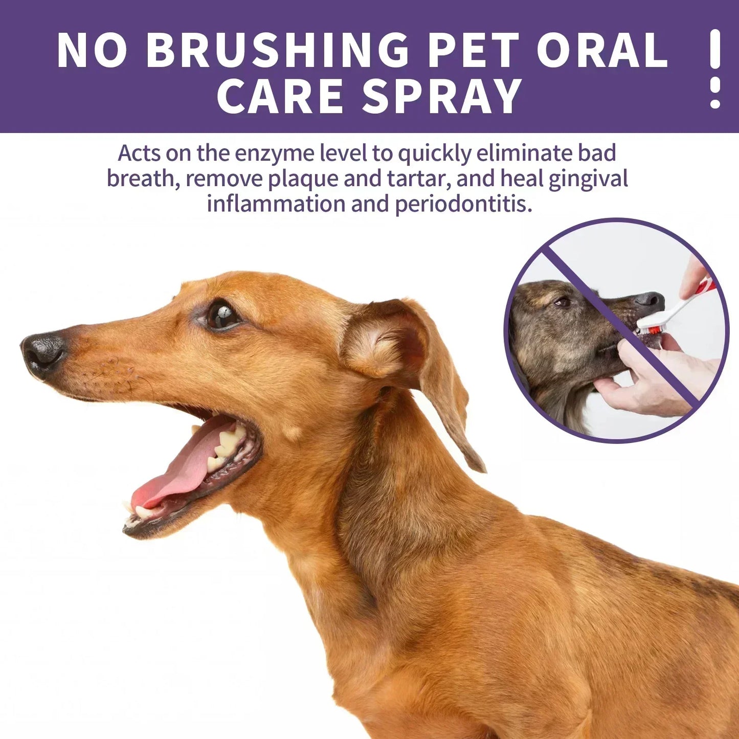 50mlPet Oral Cleanse Spray Dogs Cats Teeth Clean Deodorant Prevent Calculus Remove Kitten Bad Breath Pet Supplies Freshen Breath