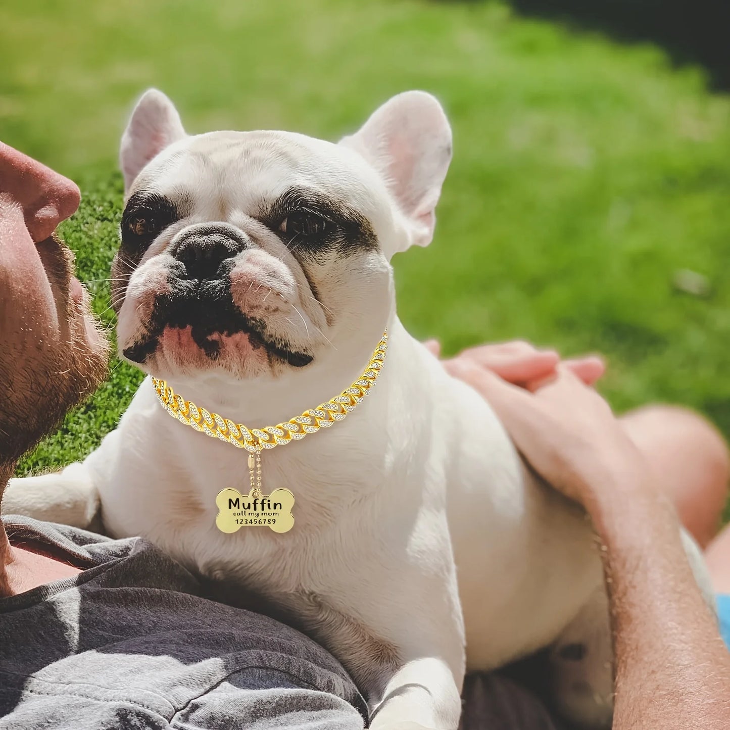 16-inch custom dog chain collar  Cuban link dog collar walking metal flashing dog collar with design safety buckle puppy pet cha