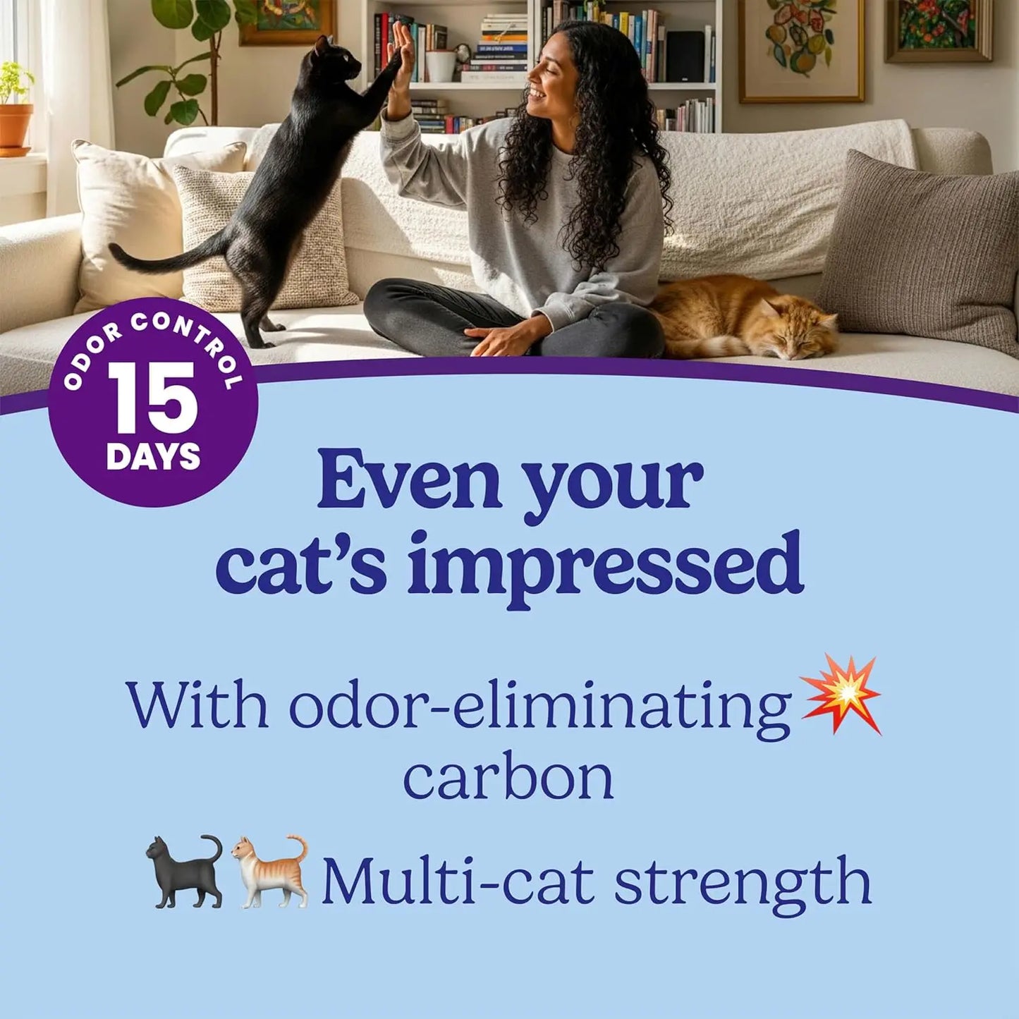 Clumping Cat Litter for Multi-Cat Homes, Long-Lasting Odor Control with Activated Charcoal, Low Dust Formula, 14 lb